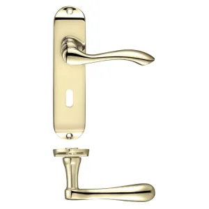 Zoo Project Arundel Lever on Lock Backplate - 180mm x 40mm-Electro Brass